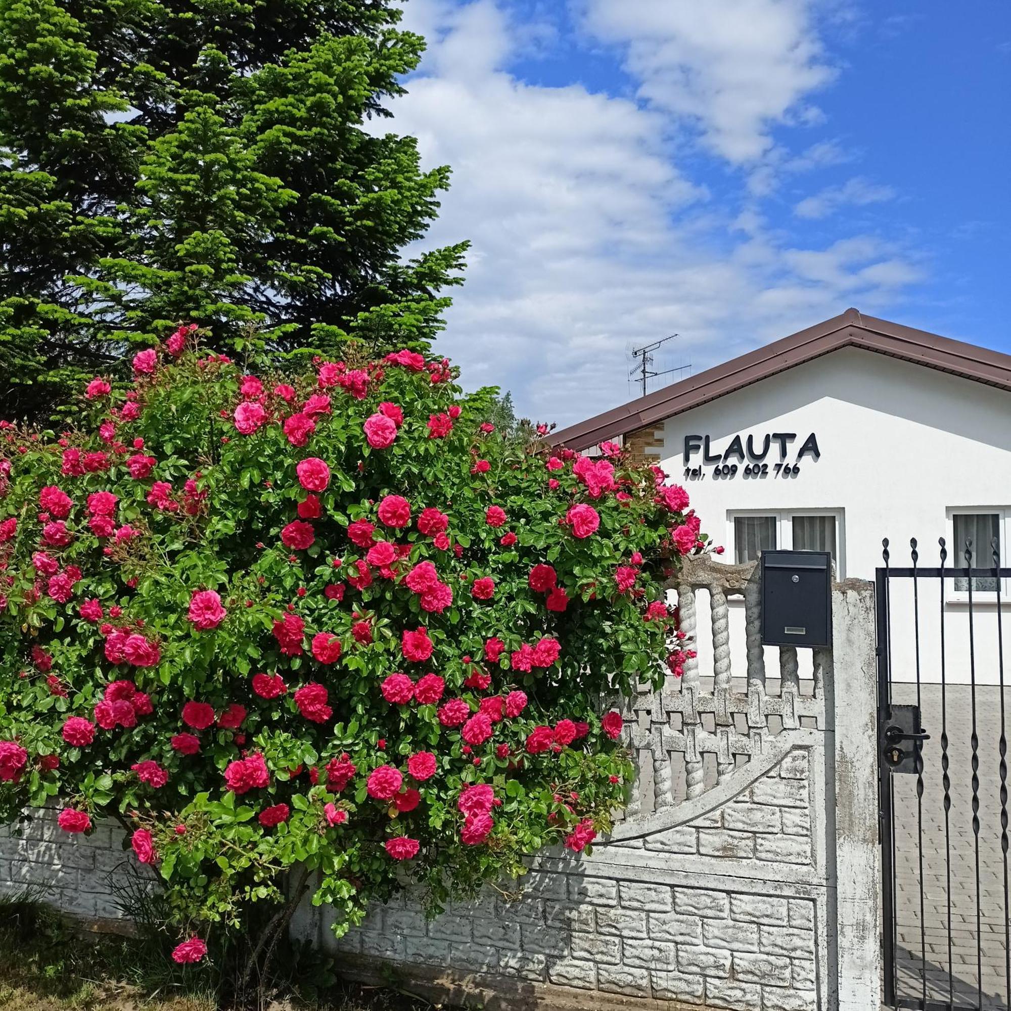 Flauta Apartamenty Rodzinne Mielenko Esterno foto